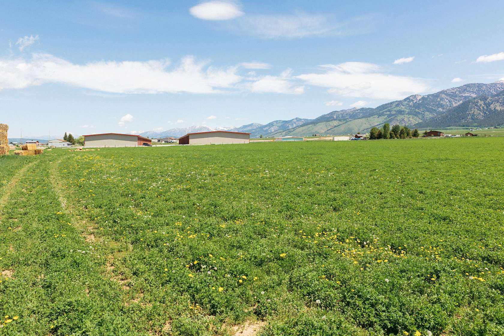 22.5 Acres of Land for Sale in Thayne, Wyoming