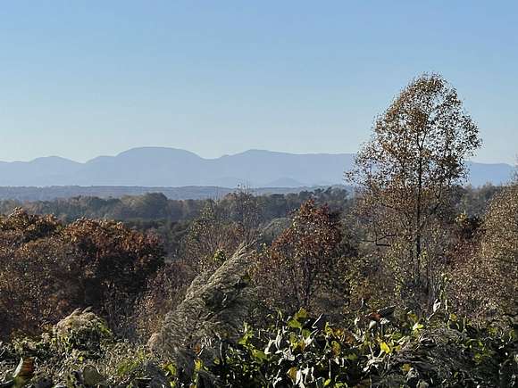 58.43 Acres of Recreational Land for Sale in Inman, South Carolina