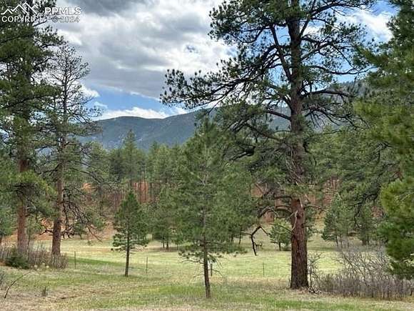 0.99 Acres of Residential Land for Sale in Larkspur, Colorado