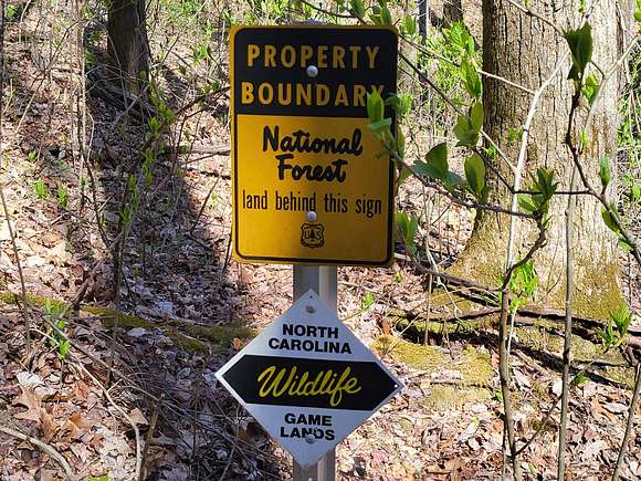 211 Acres of Recreational Land for Sale in Robbinsville, North Carolina