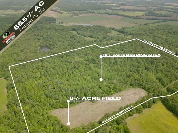 65.5 Acres of Land for Sale in Advance, Missouri