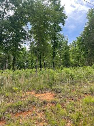 1 Acre of Residential Land for Sale in Abbeville, Alabama