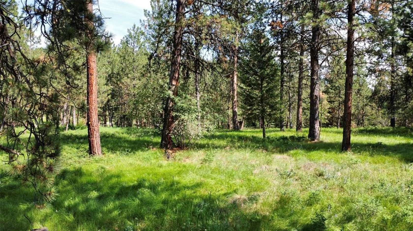 2.4 Acres of Residential Land for Sale in Polson, Montana