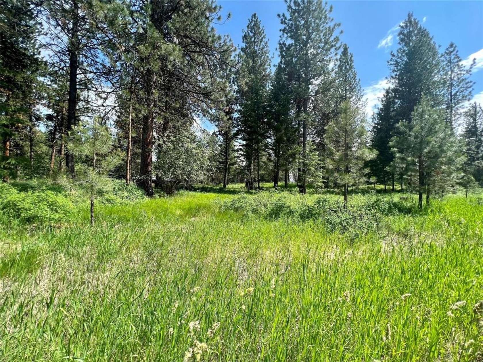 2.4 Acres of Residential Land for Sale in Polson, Montana