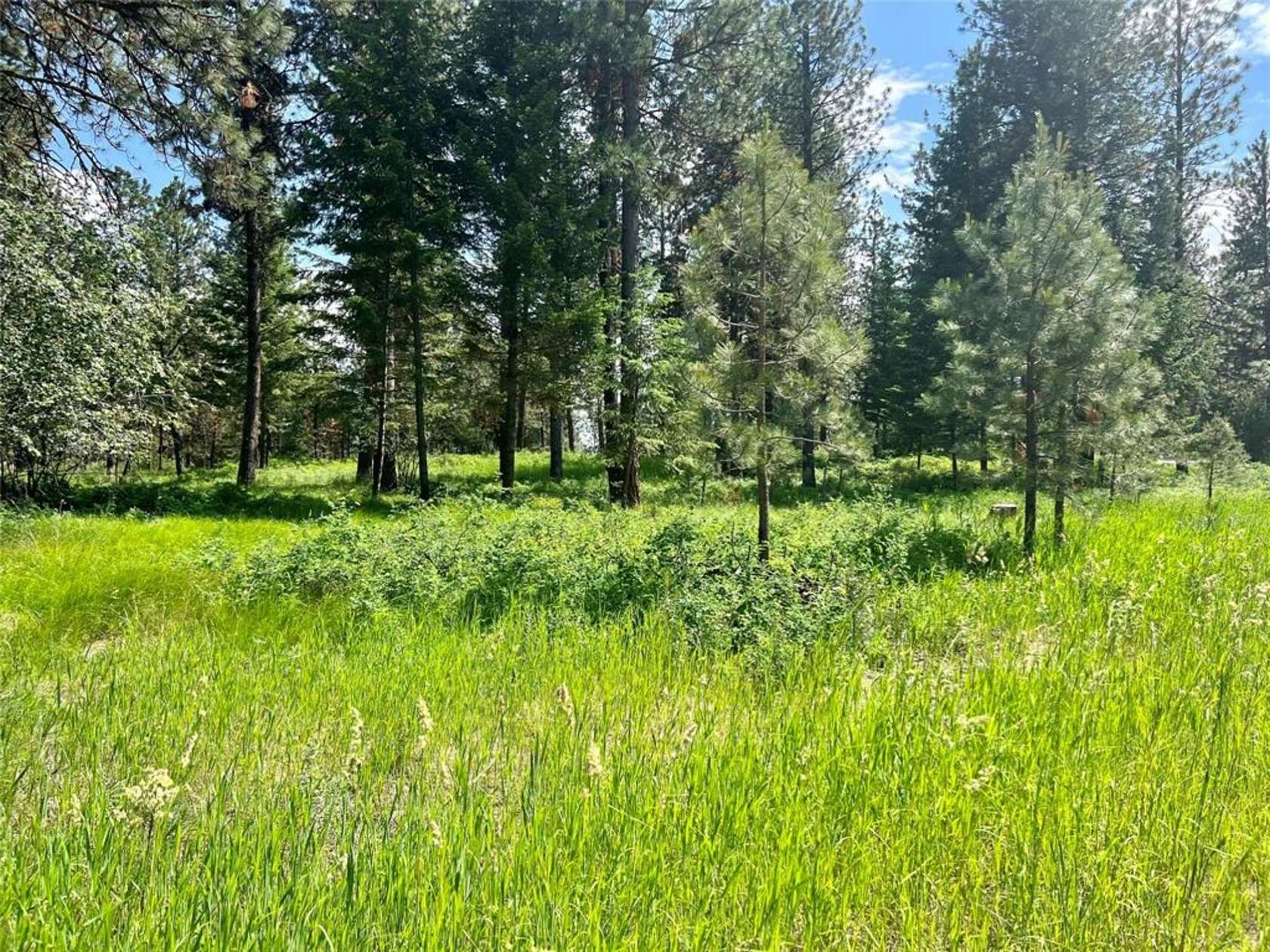 2.39 Acres of Residential Land for Sale in Polson, Montana