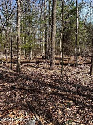 0.47 Acres of Residential Land for Sale in Wapwallopen, Pennsylvania