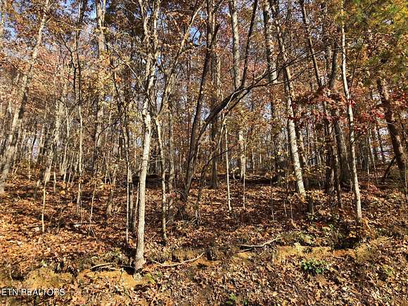 1.42 Acres of Residential Land for Sale in La Follette, Tennessee