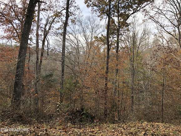 0.46 Acres of Land for Sale in La Follette, Tennessee