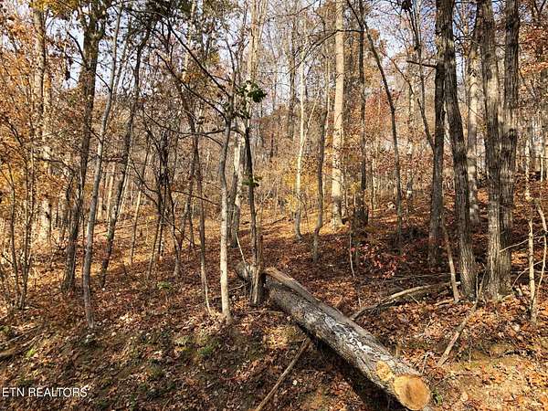 1.43 Acres of Residential Land for Sale in La Follette, Tennessee