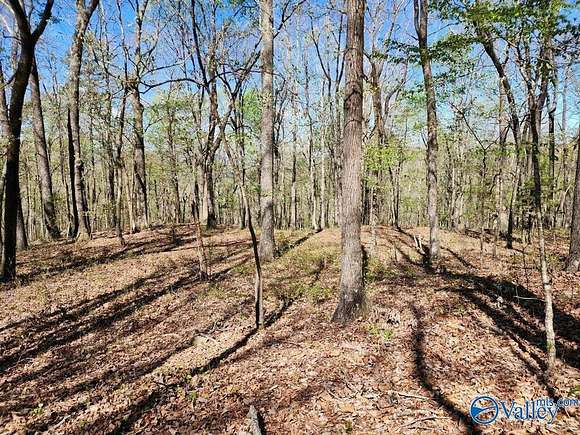 59 Acres of Recreational Land for Sale in Gurley, Alabama