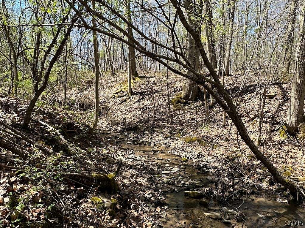 5 Acres of Recreational Land for Sale in Grove, New York