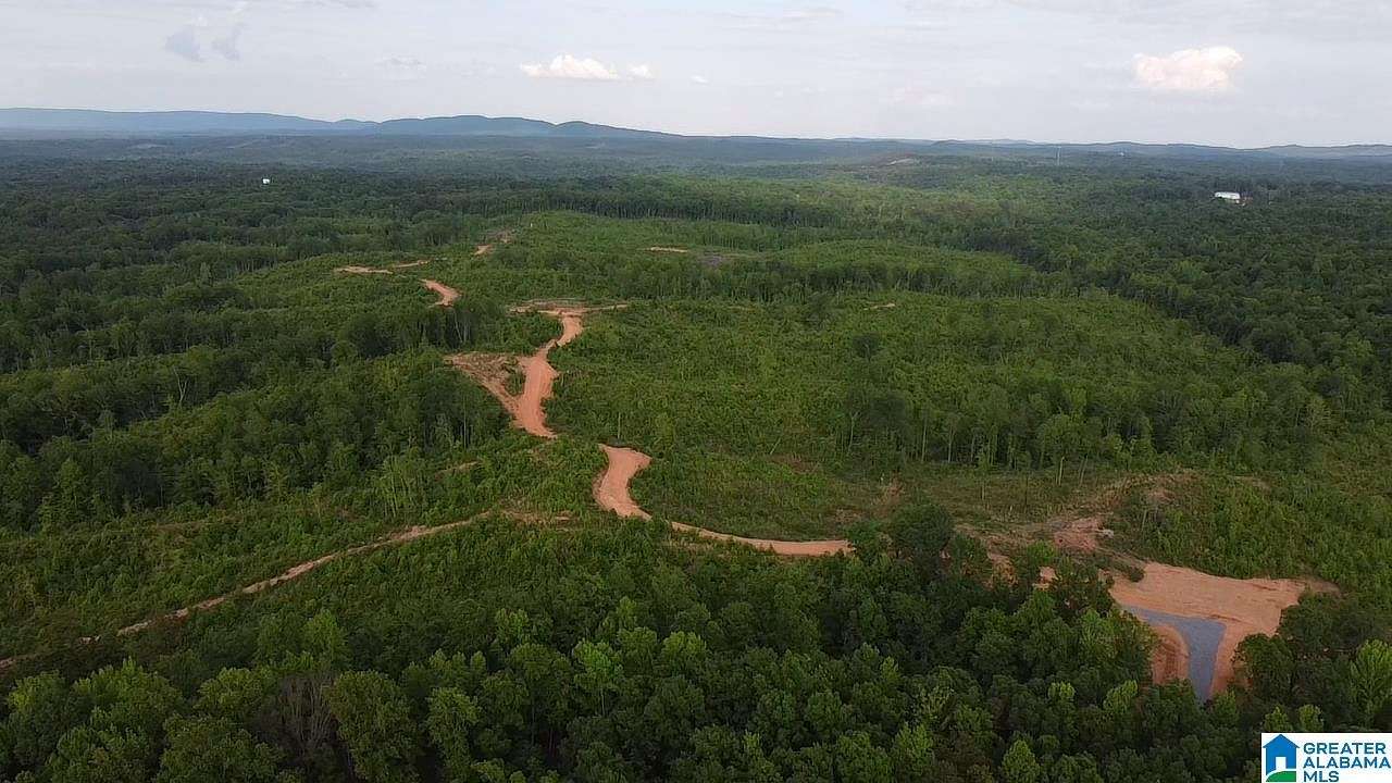 134 Acres of Land for Sale in Sylacauga, Alabama