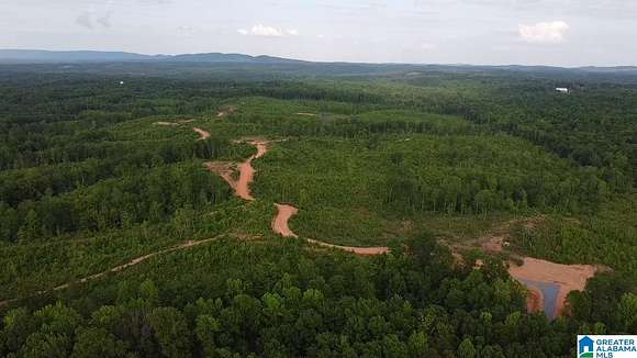 134 Acres of Land for Sale in Sylacauga, Alabama