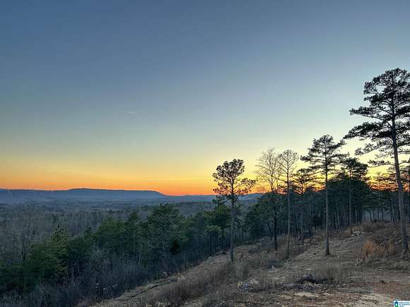 78 Acres of Recreational Land for Sale in Leeds, Alabama