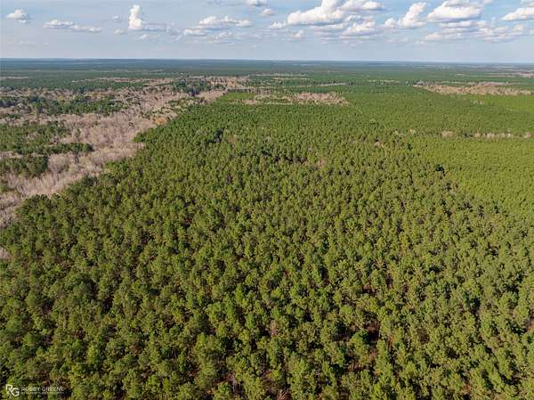 100 Acres of Recreational & Residential Land for Sale in Benton, Louisiana