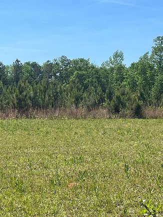 10 Acres of Recreational Land for Sale in Abbeville, South Carolina