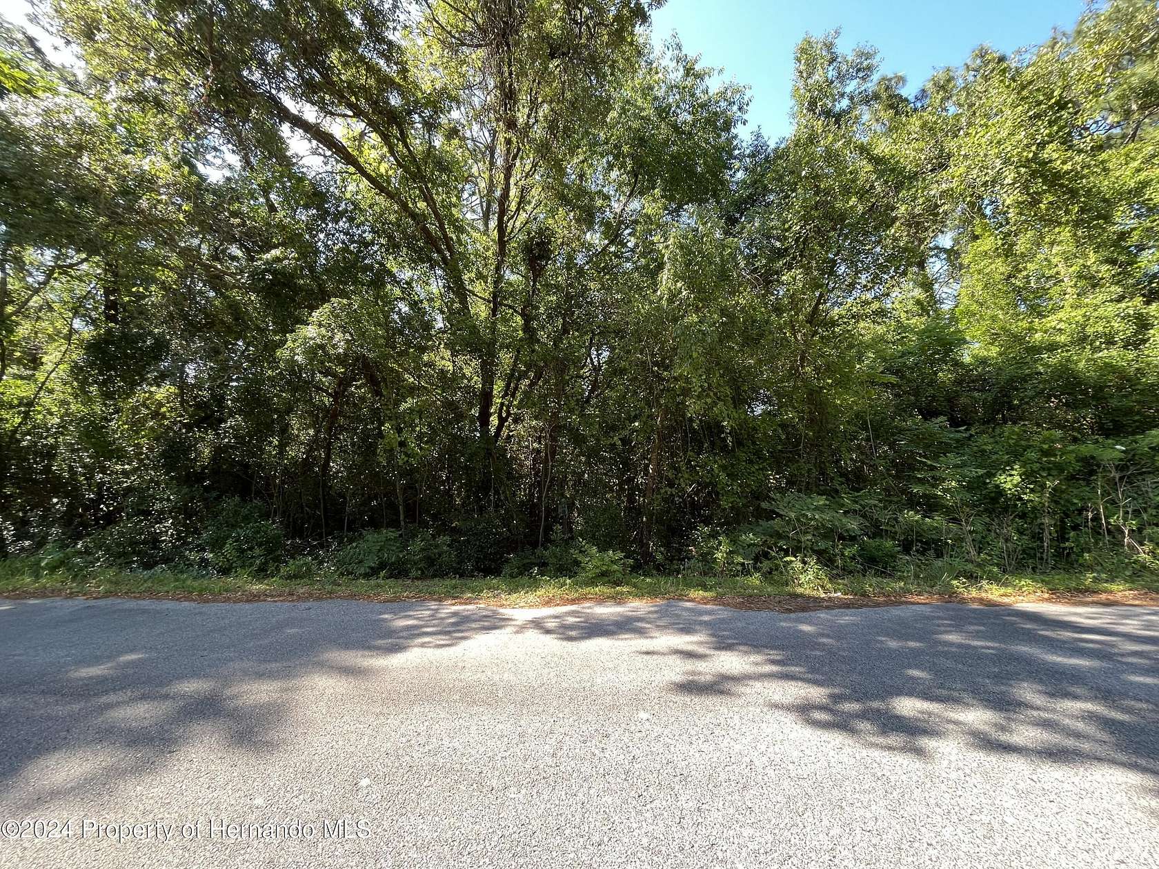 0.3 Acres of Residential Land for Sale in Weeki Wachee, Florida