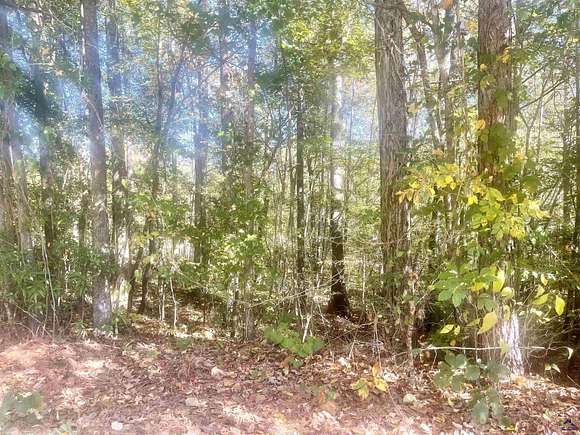1.2 Acres of Residential Land for Sale in Macon, Georgia