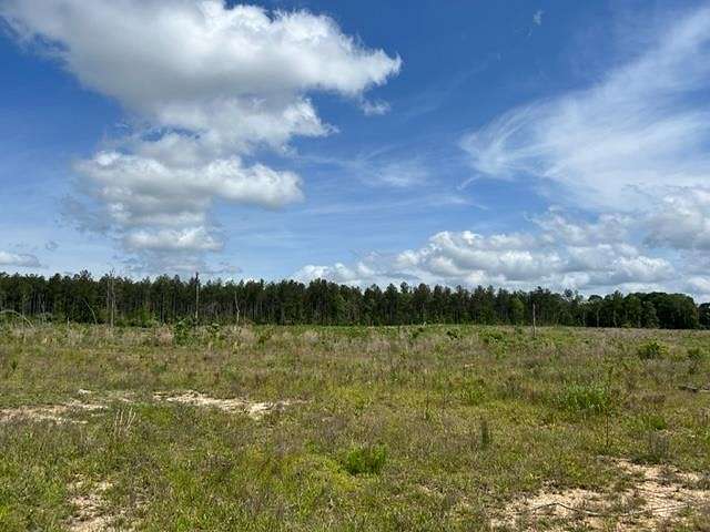 52.2 Acres of Land for Sale in Sheridan, Louisiana