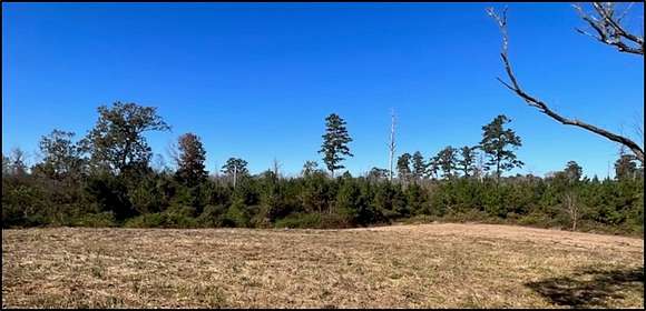 221 Acres of Recreational Land for Sale in Louisville, Mississippi