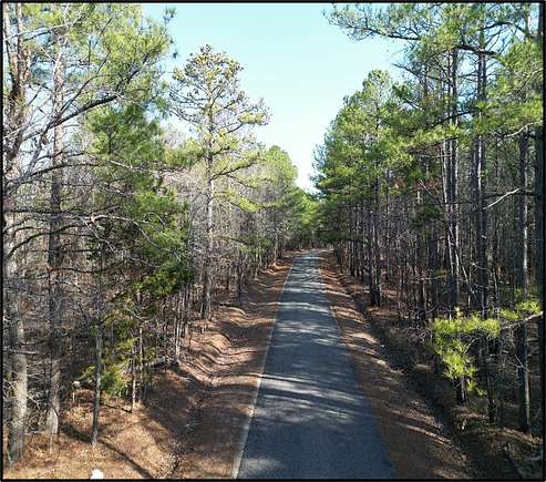 40 Acres of Recreational Land for Sale in Starkville, Mississippi