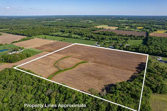 40.3 Acres of Recreational Land & Farm for Sale in Iuka, Illinois