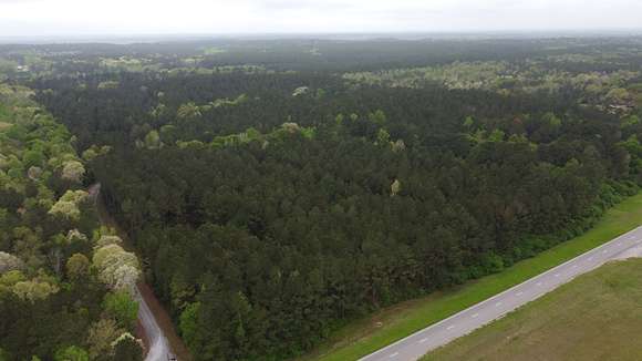 55.6 Acres of Recreational Land for Sale in Waynesboro, Mississippi
