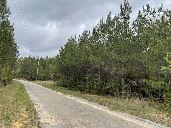 308 Acres of Recreational Land for Sale in Waynesboro, Mississippi