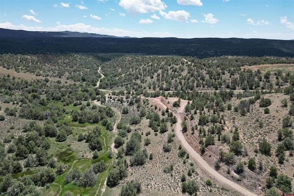 39.33 Acres of Agricultural Land for Sale in Durango, Colorado