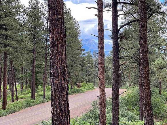 48.5 Acres of Recreational Land for Sale in Pagosa Springs, Colorado