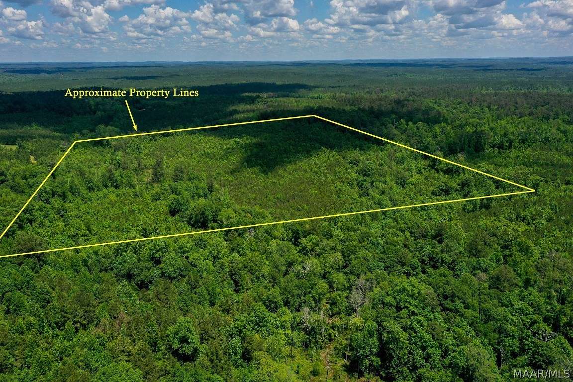 48.5 Acres of Recreational Land for Sale in Jackson, Alabama