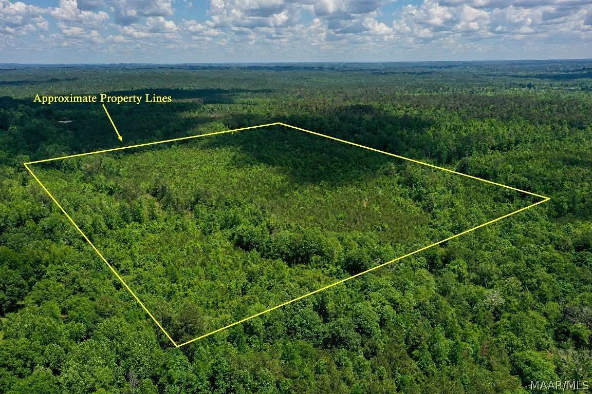 48.5 Acres of Recreational Land for Sale in Jackson, Alabama