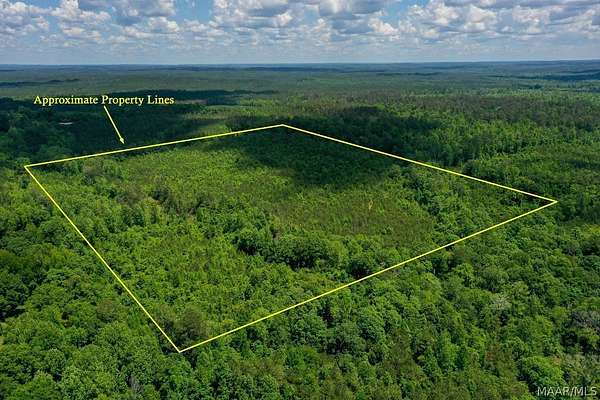 48.5 Acres of Recreational Land for Sale in Jackson, Alabama