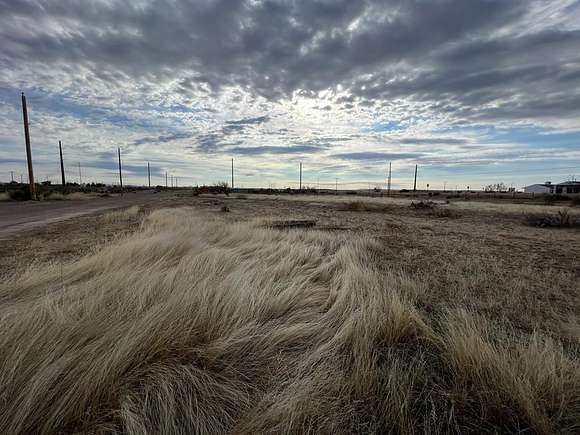 0.14 Acres of Commercial Land for Sale in Marfa, Texas