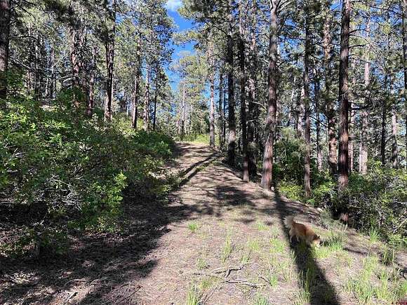 3.4 Acres of Residential Land for Sale in Durango, Colorado