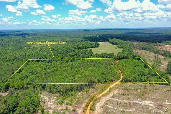 20 Acres of Agricultural Land for Sale in Jackson, Alabama
