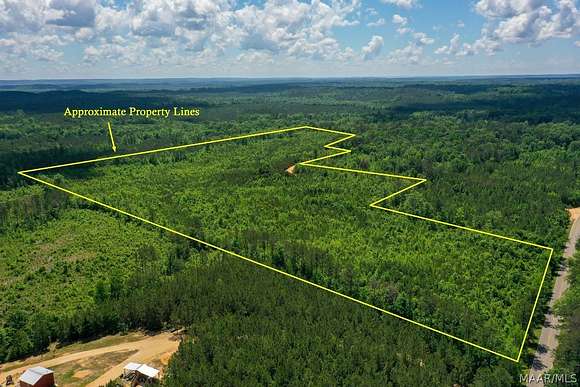 49 Acres of Land for Sale in Jackson, Alabama