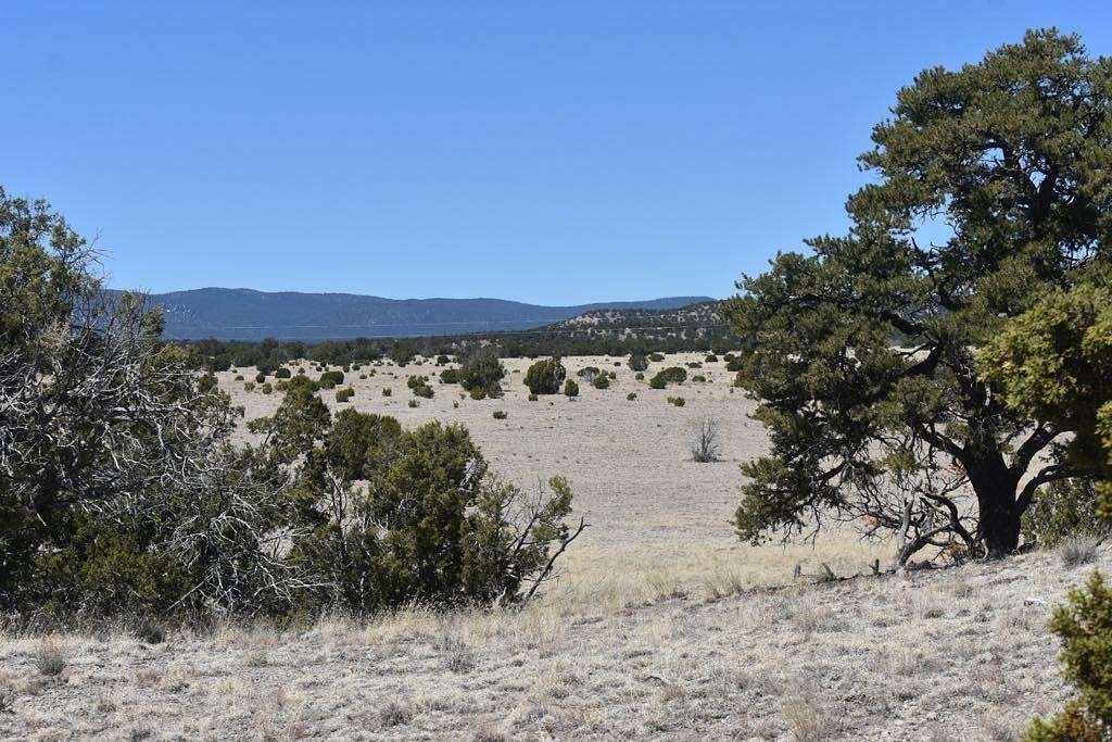 87.2 Acres of Agricultural Land for Sale in Datil, New Mexico
