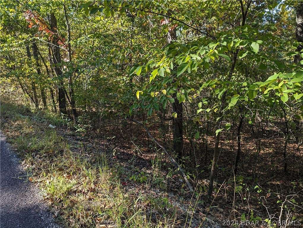 4.9 Acres of Land for Sale in Versailles, Missouri