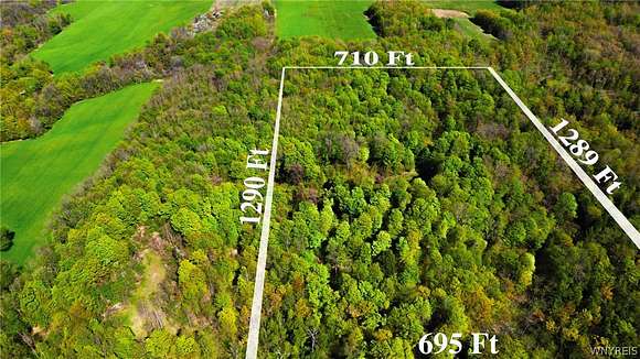 20.6 Acres of Agricultural Land for Sale in Perrysburg, New York