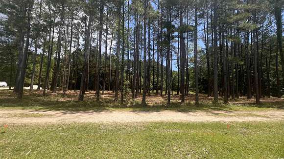 0.46 Acres of Residential Land for Sale in Longs, South Carolina