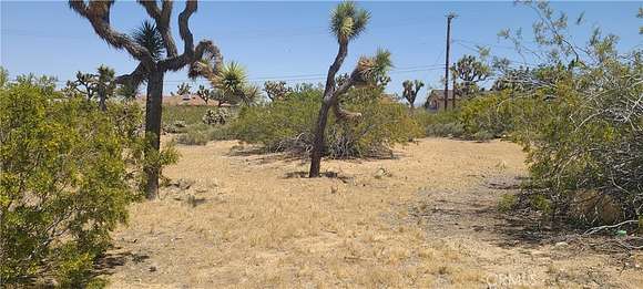 0.41 Acres of Residential Land for Sale in Yucca Valley, California