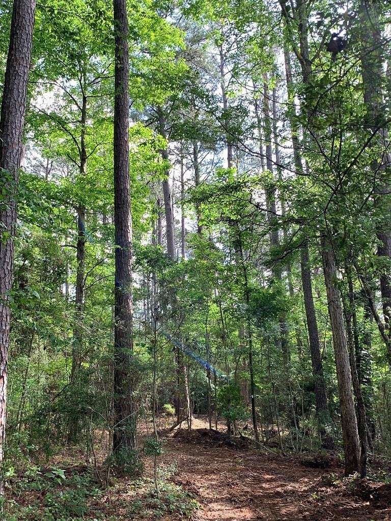 20 Acres of Recreational Land for Sale in Magnolia, Mississippi