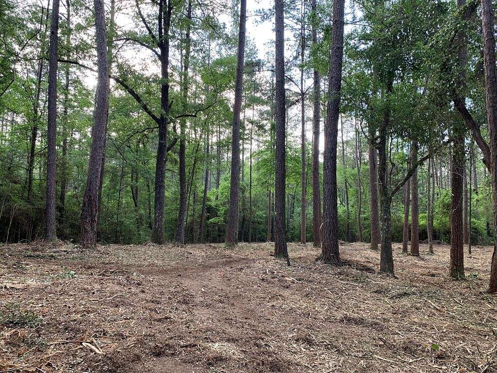 80 Acres of Recreational Land for Sale in Magnolia, Mississippi