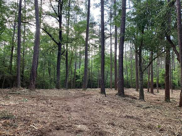 80 Acres of Recreational Land for Sale in Magnolia, Mississippi