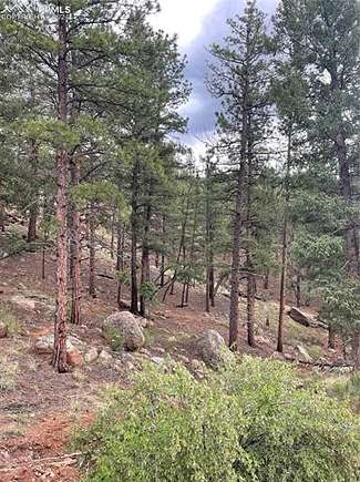 1.2 Acres of Land for Sale in Woodland Park, Colorado
