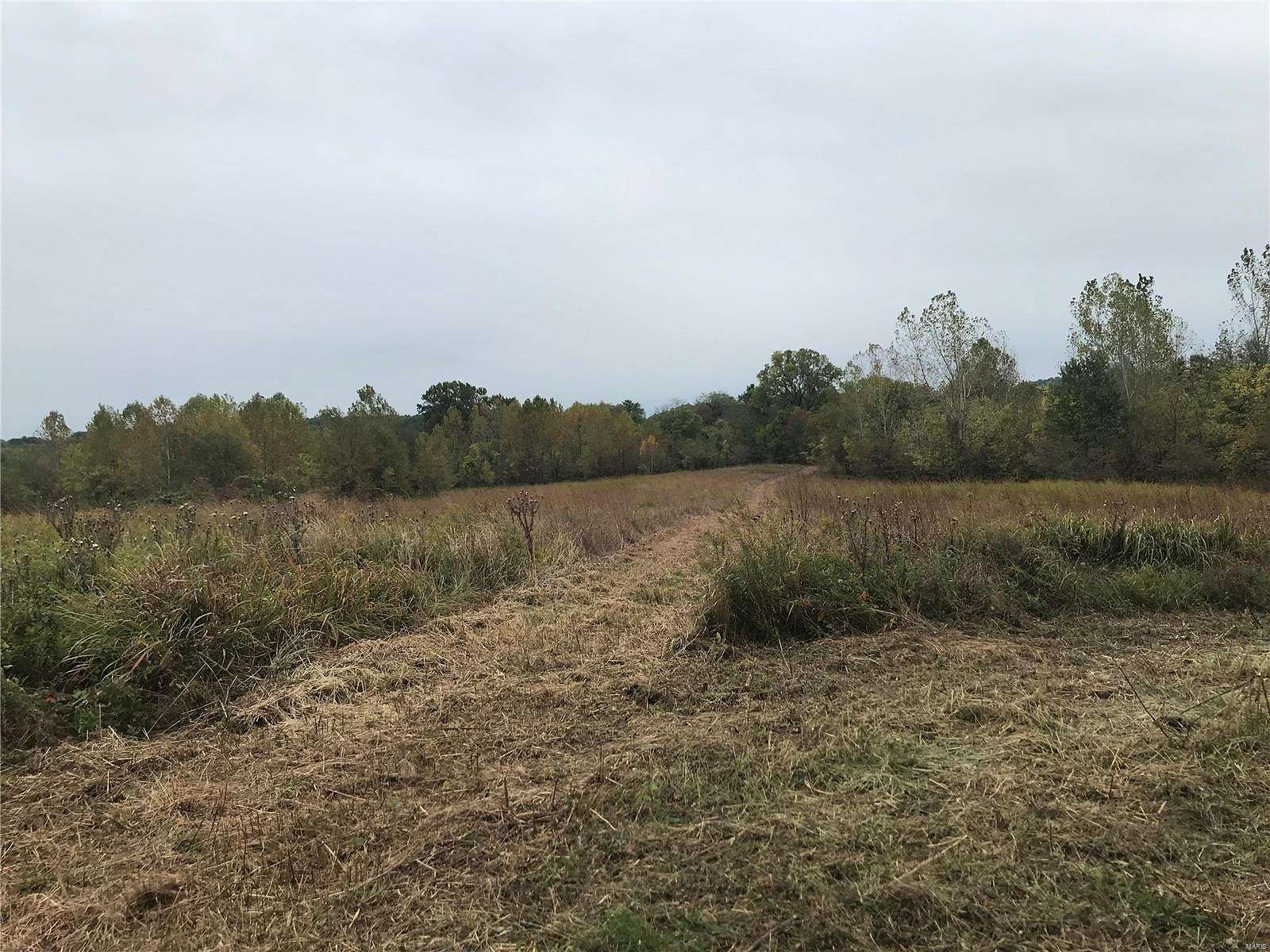 3 Acres of Land for Sale in Jackson, Missouri