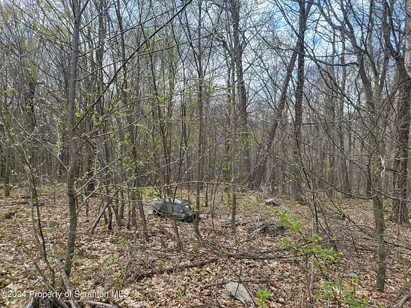 3 Acres of Residential Land for Sale in Roaring Brook Township, Pennsylvania