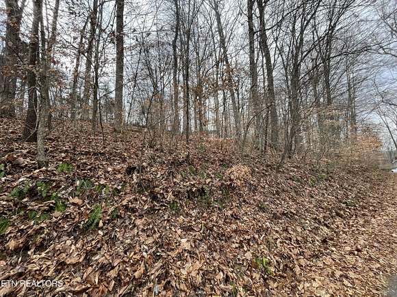 0.33 Acres of Residential Land for Sale in Sevierville, Tennessee