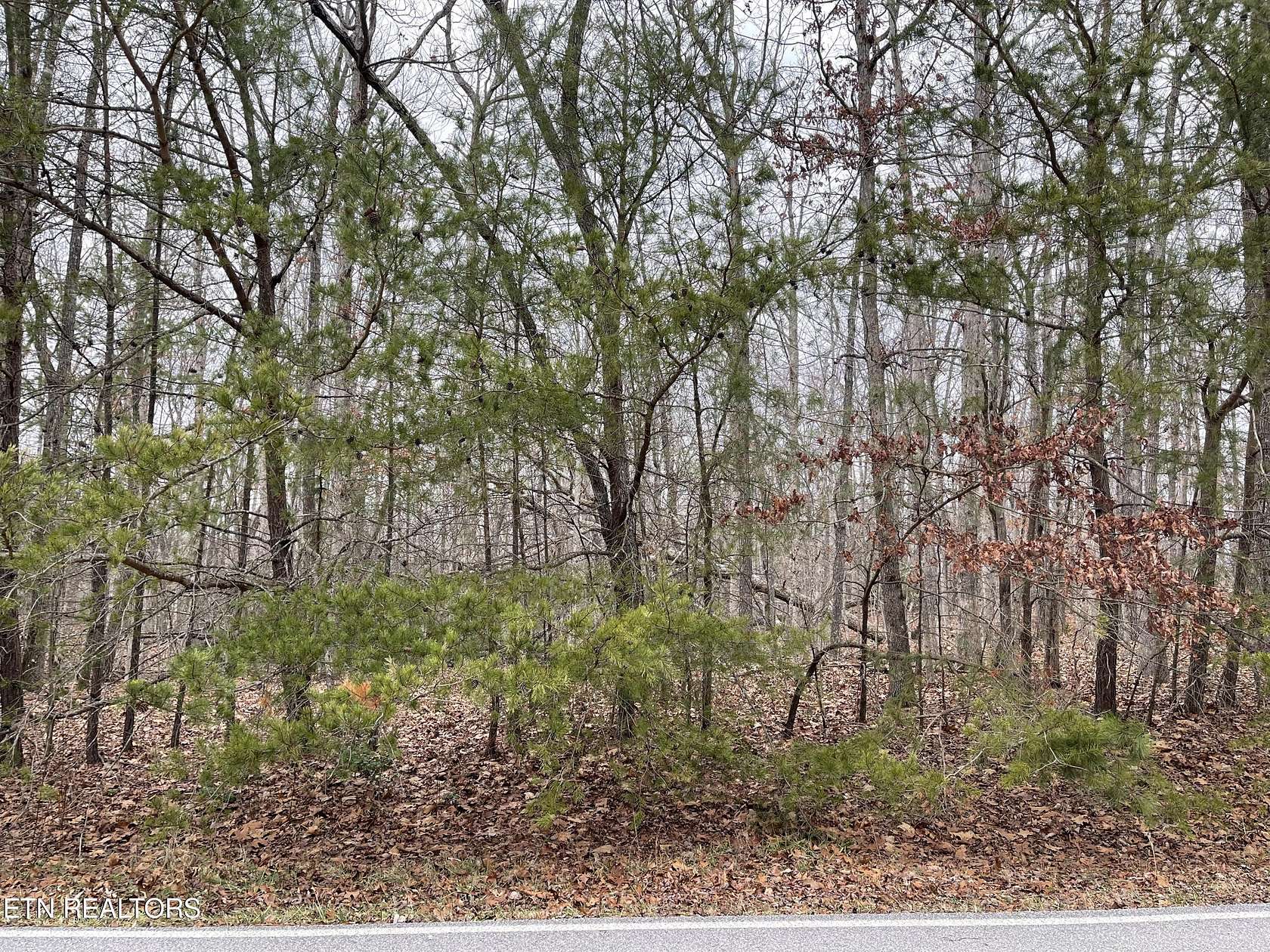 1 Acre of Residential Land for Sale in Crossville, Tennessee